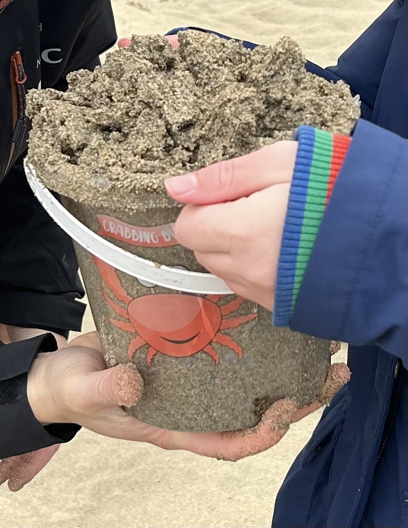 beach activity