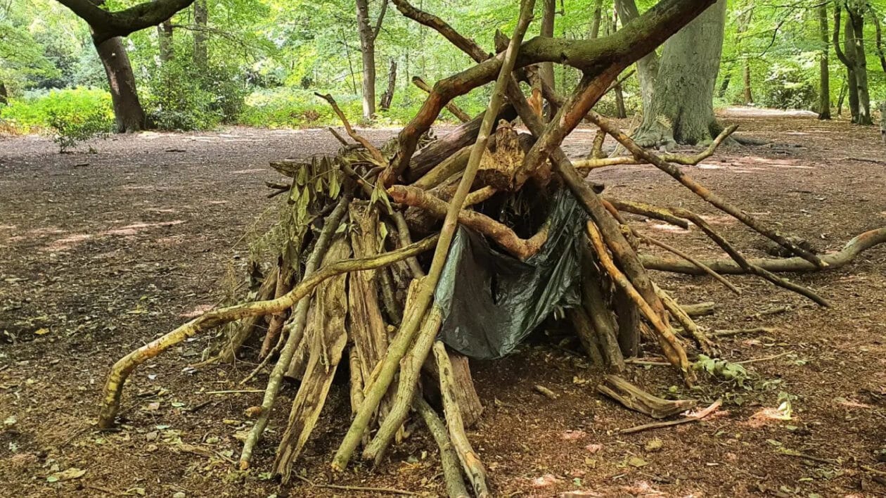Den building